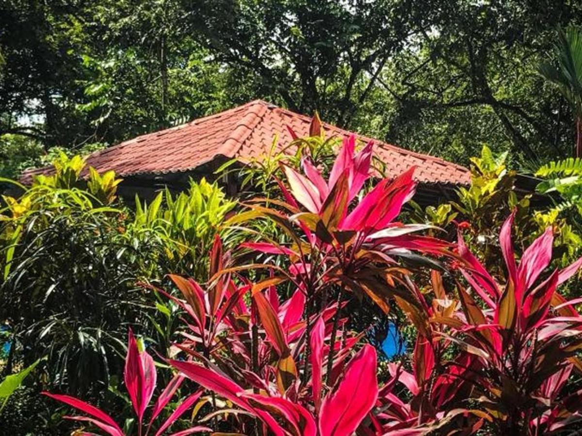 Casa Colores Montezuma Exterior photo