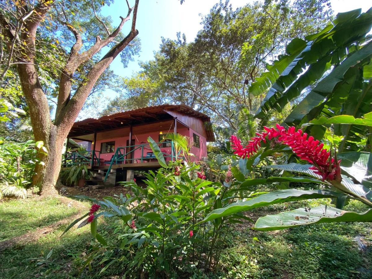 Casa Colores Montezuma Exterior photo
