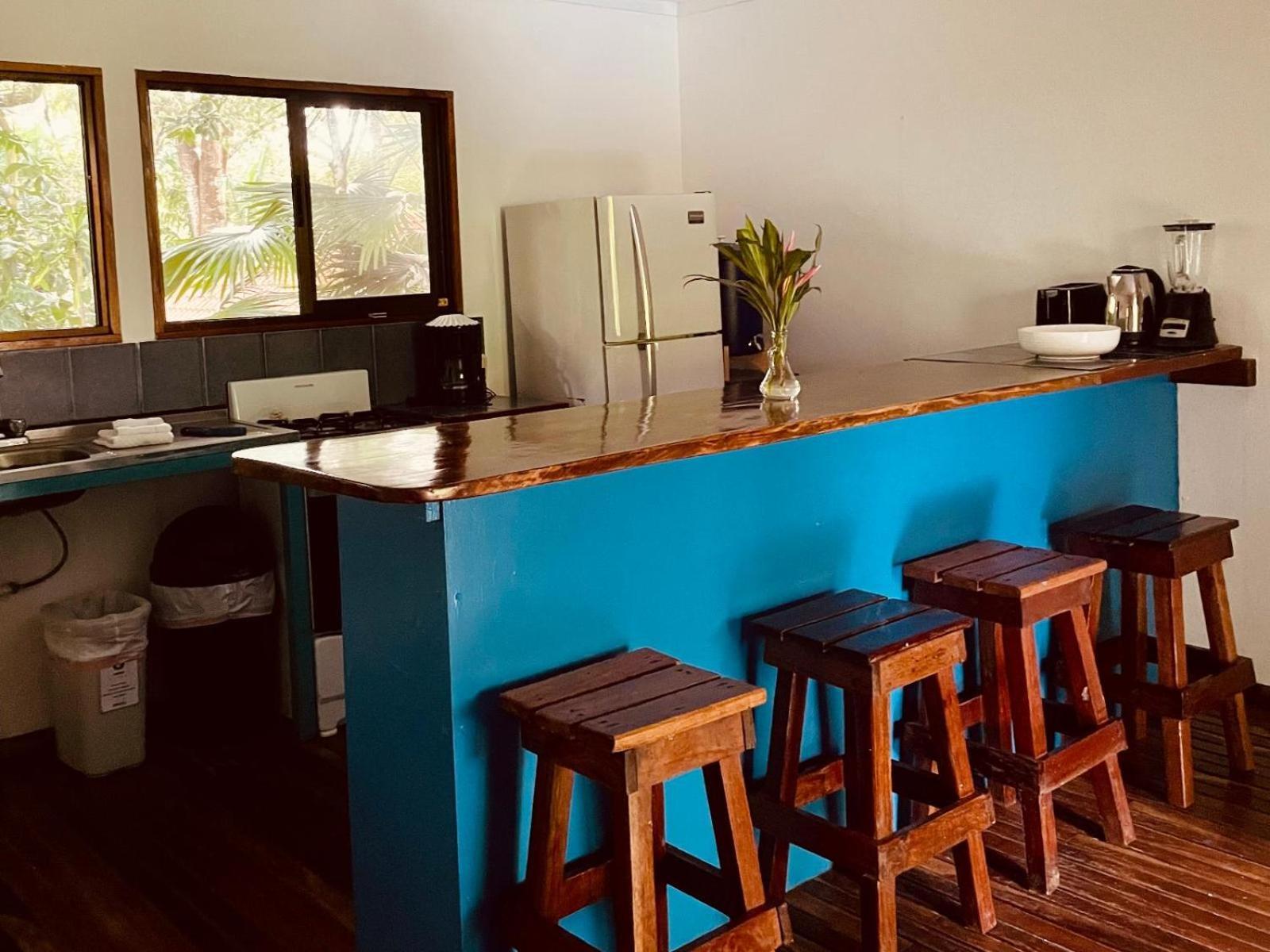 Casa Colores Montezuma Room photo
