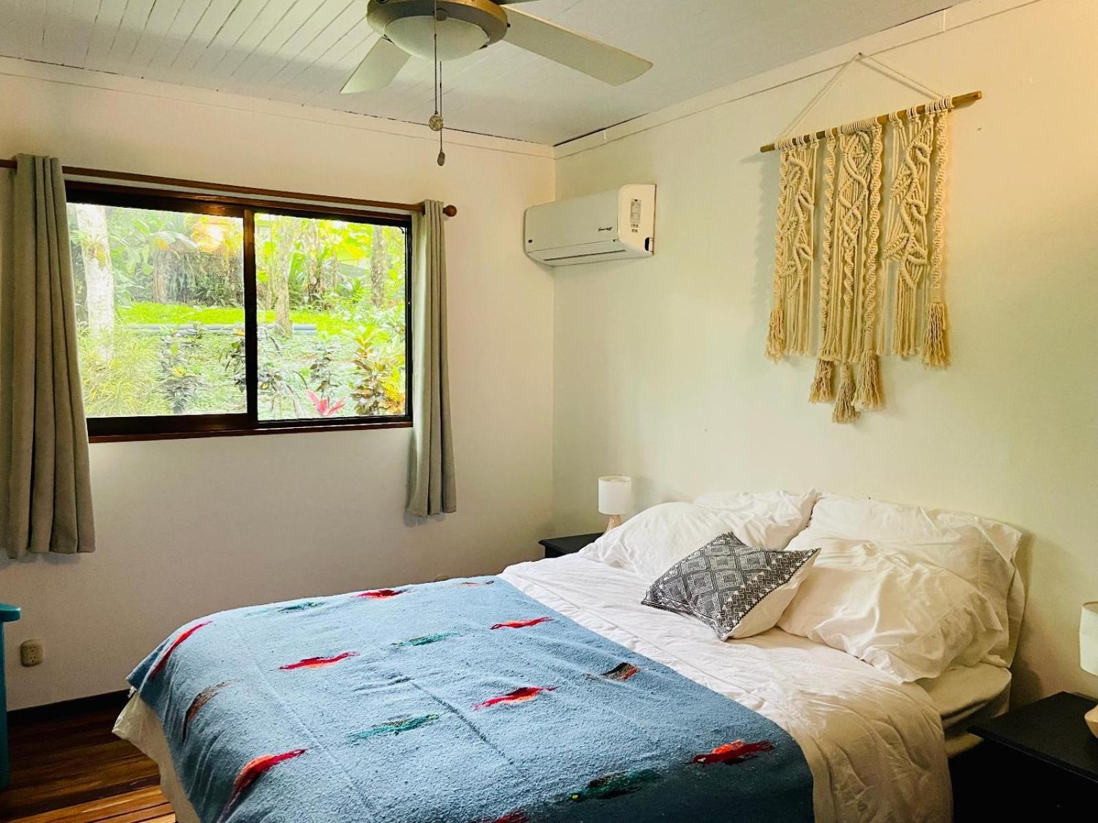 Casa Colores Montezuma Room photo