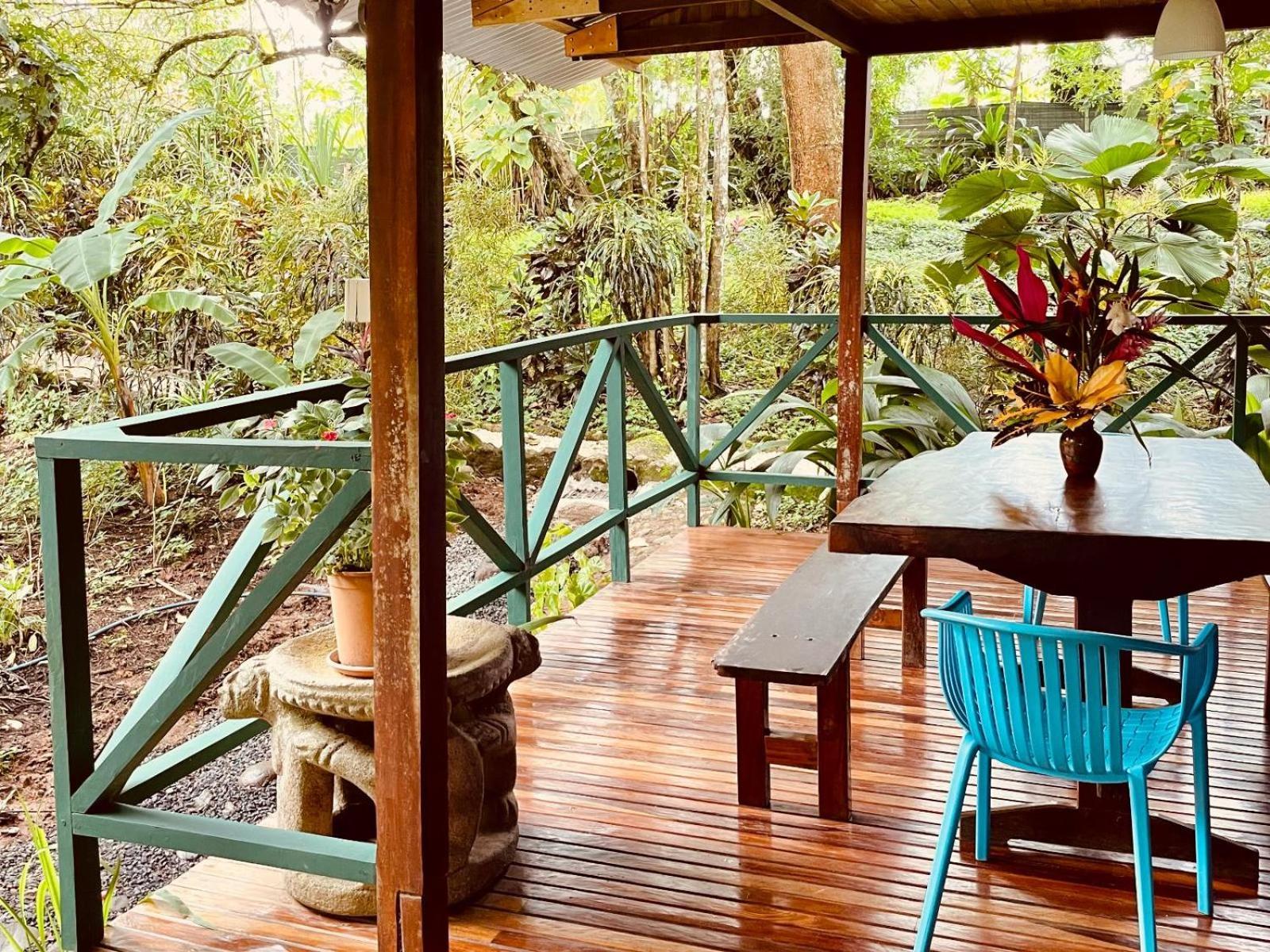 Casa Colores Montezuma Room photo